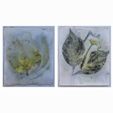 0050 Vorder- und Rückseite 14,5x17 cm