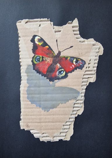 0325 - "Schmetterling im Spiel von Licht und Schatten" Öl auf Karton 0325 - "Schmetterling im Spiel von Licht und Schatten" Öl auf Karton