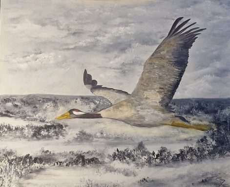 zur Zeit in der Ausstellung