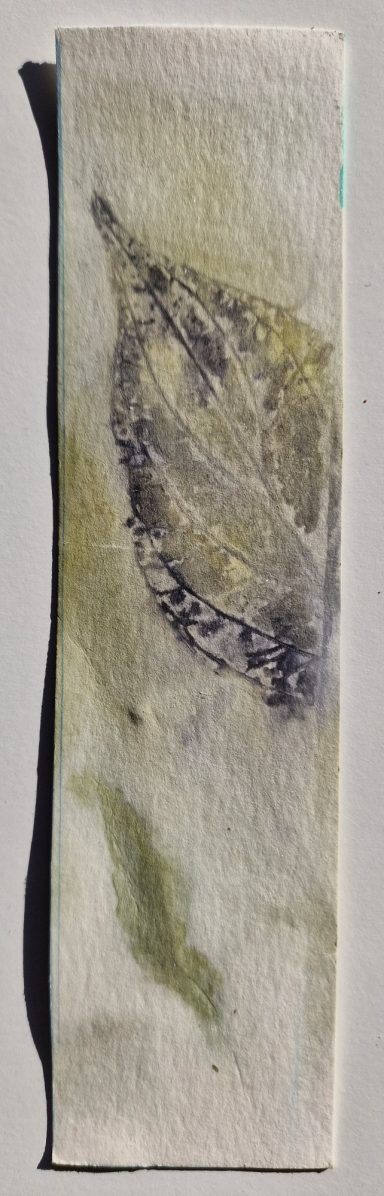 0051 Lesezeichen 4x16 cm
