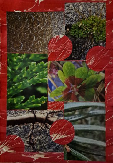 0223 "Nahaufnahmen" A4 Collage