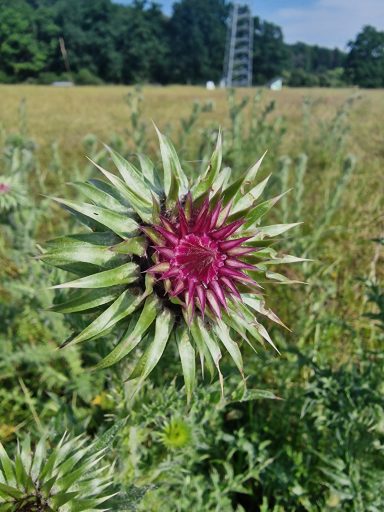 ... und lassen uns von der Schönheit der Natur verzaubern.
