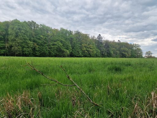 Wir wandern ca. 2,5 km.