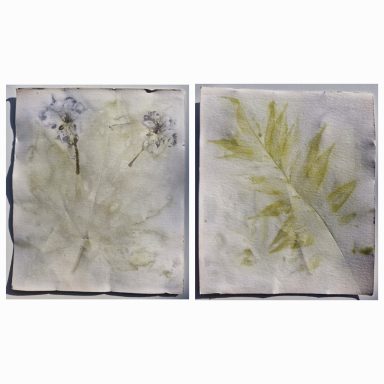 0056 Vorder- und Rückseite 14,5x17 cm