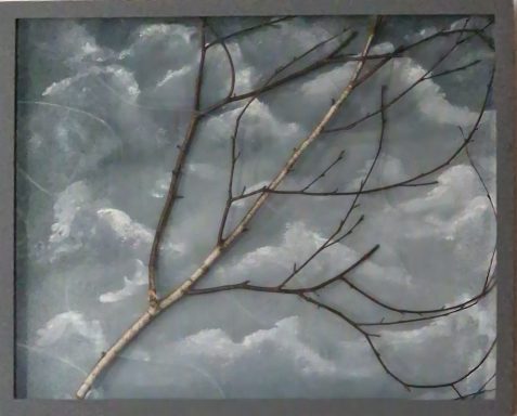 0162 52,5 x 42,5 cm 0162 52,5 x 42,5 cm