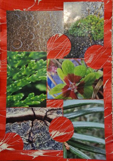 0223 - "Nahaufnahmen" Collage A4 0223 - "Nahaufnahmen" Collage A4