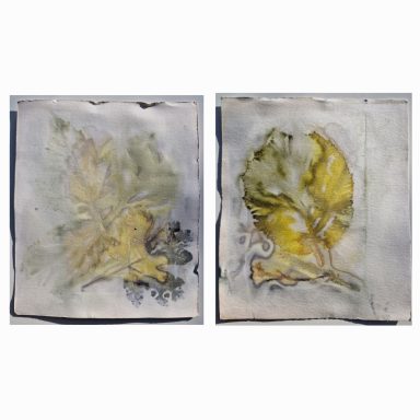 0055 Vorder- und Rückseite 14,5x17 cm