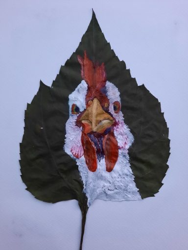 hat sein Zuhause gefunden