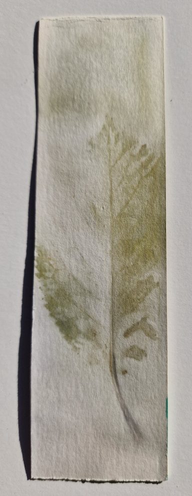 0053 Lesezeichen 4x14,5xm