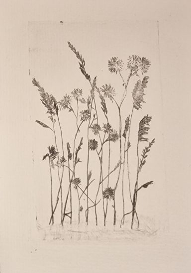 0289 Radierung "Gräser" 0289 Radierung "Gräser"